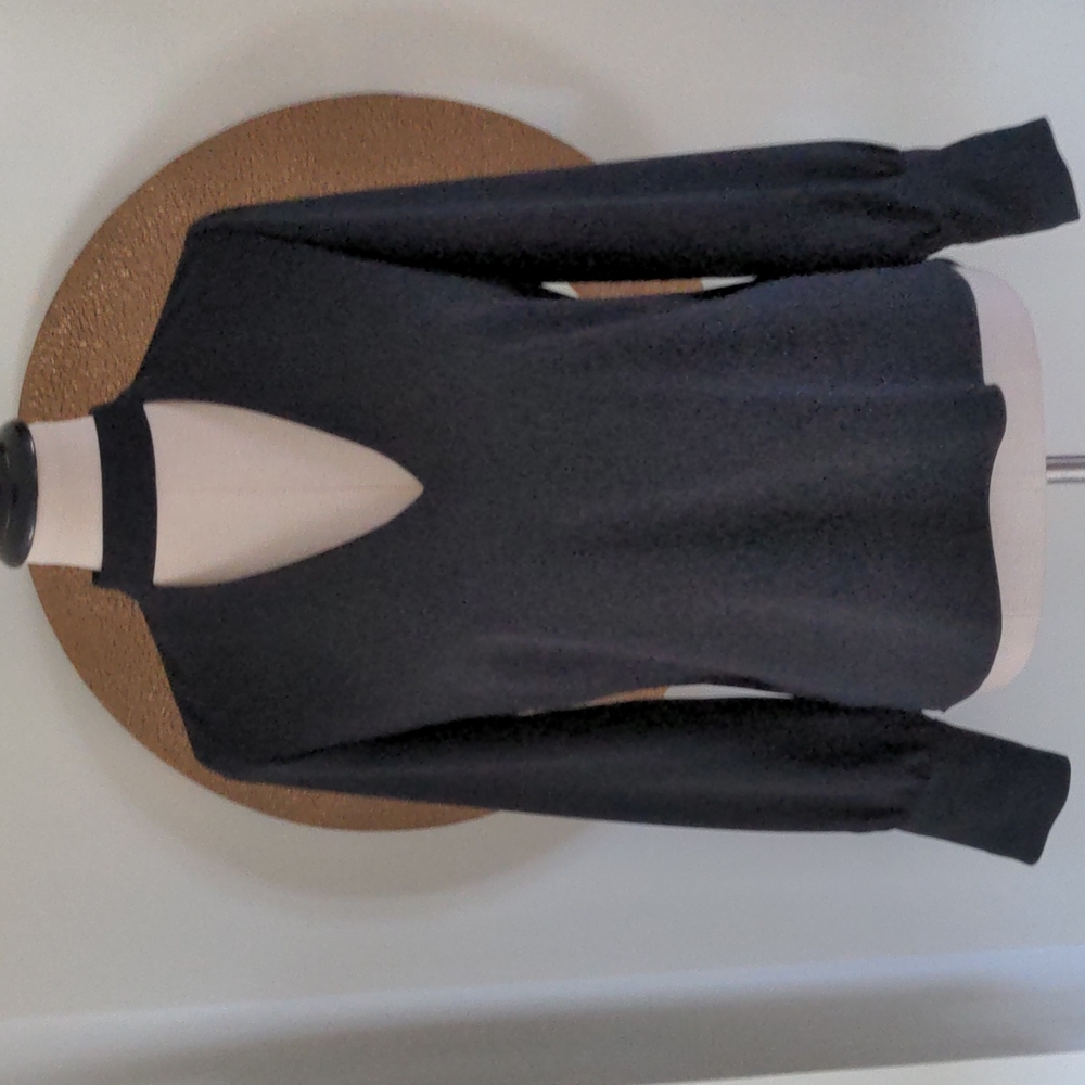 Zara Top - Picture 6 of 7